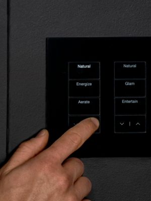 Lutron_Palladiom_600x600